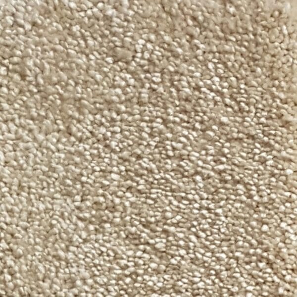 Magnificus 31 - Görsel 1