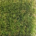 Marvel Çim - Görsel 2