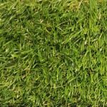 Nobili Çim - Görsel 2