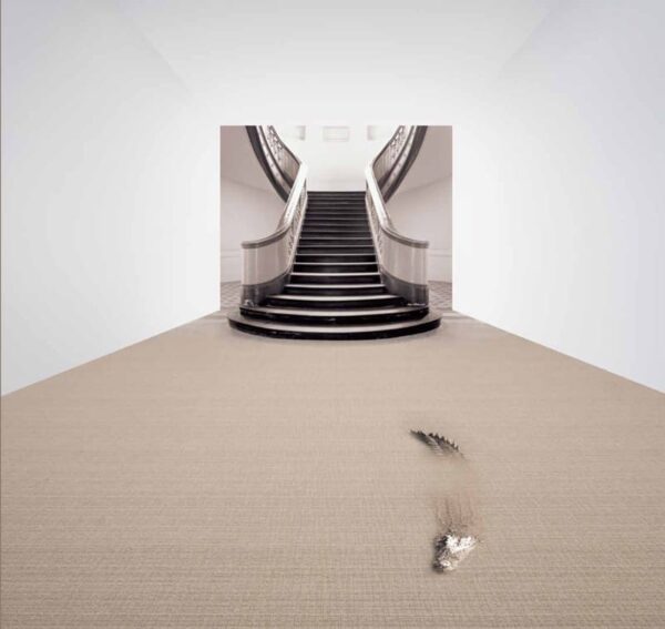 Rockfeller RF5 303 - Görsel 2