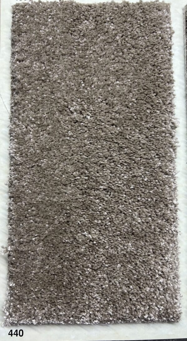 Diplomat 440 - Görsel 1