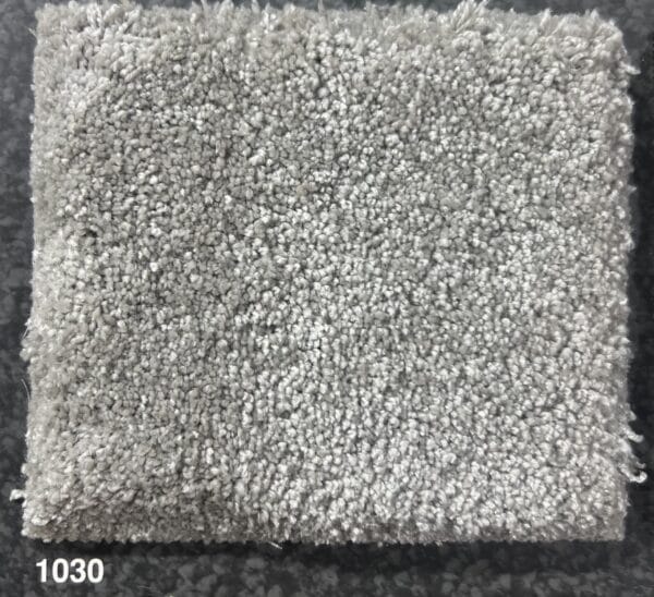 Sirius 1030 - Görsel 1